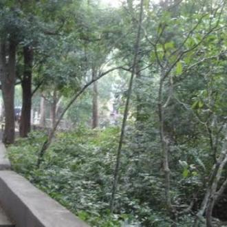 ସପ୍ତଶଯ୍ୟାକୁ ଯିବା ପାହାଚ