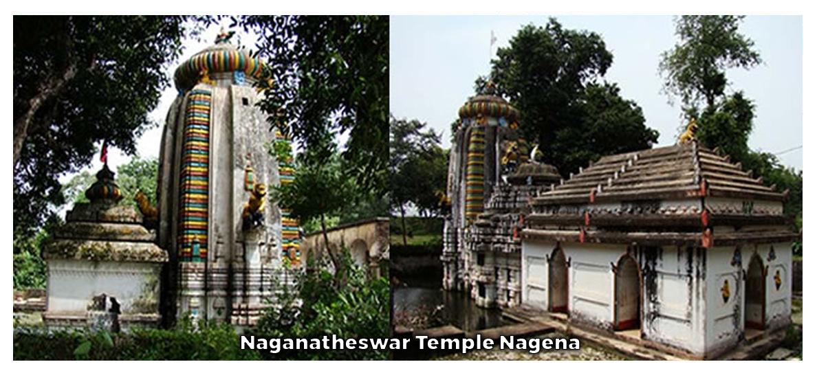 Naganatheswar Temple Nagena